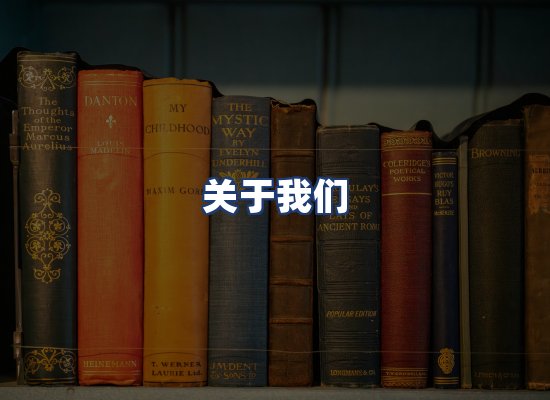 关于我们